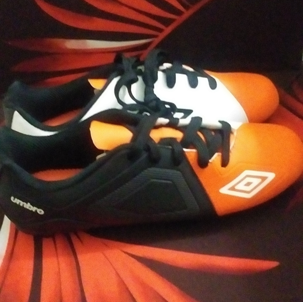 Shoe
